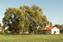 Nízkoenergetický bungalov Nitra